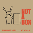 Not a Box by Antoinette Partis